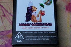 Venta: Bay Area Seeds - Cherry Cookie Foam