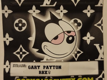 Sell: Gary Payton RBX1 Copycat Genetix ORIGINAL FEMS