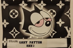 Sell: Gary Payton RBX1 Copycat Genetix ORIGINAL FEMS