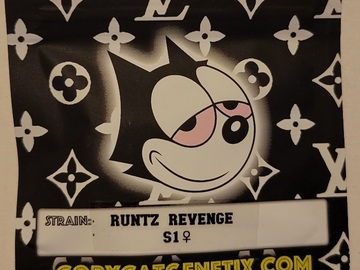 Venta: Runtz Revenge S1 Copycat Genetix Clone Only FEMS
