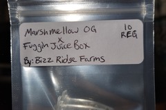 Sell: Marshmallow OG X Fuggin Juice Box 10 reg seeds