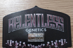 Sell: Relentless Genetics Twisted Cherries 10pc Reg.