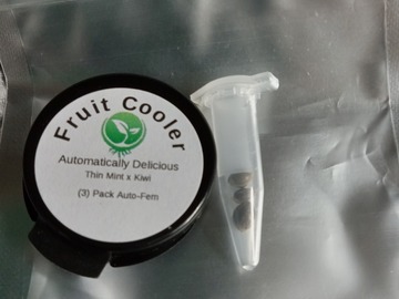 Vente: Fruit Cooler (thin mint x kiwi) auto