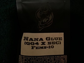 Sell: Square 1 Genetics: Nana Glue