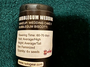 Sell: Canarado: Bubblegum Wedding