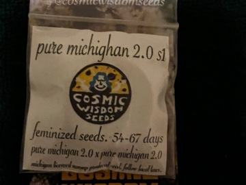 Sell: Cosmic Wisdom Seeds: Pure Michigan 2.0 S1