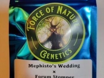 Vente: Mephisto's Wedding x Forum Stomper