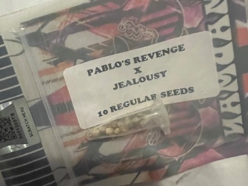 Sell: Pablos revenge x jealousy