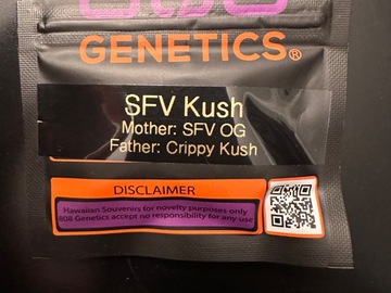Venta: 808 Genetics - SFV Kush - Reg Photo