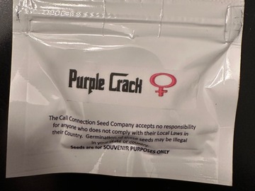 Venta: The Cali Connection - Purple Crack - Fem Photo