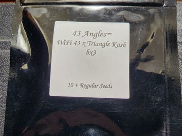 Vente: Seed Junky - 43 Angles (WiFi 43 x Triangle Kush bx3)