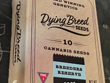 Vente: Dying Breed Seeds - Rock Popz BX1