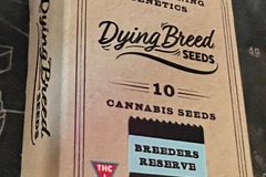 Sell: Dying Breed Seeds - Rock Popz BX1