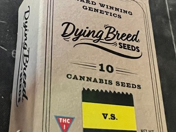 Vente: Dying Breed Seeds - GAK Zkittlez