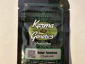 Vente: Karma Genetics – Sour Ananas (Rose Gold x Sour D Bx)