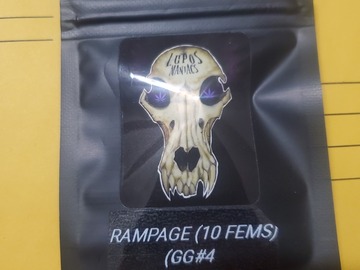 Auction: RAMPAGE 10 FEMS