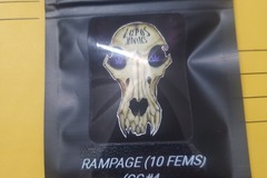 Auction: RAMPAGE 10 FEMS