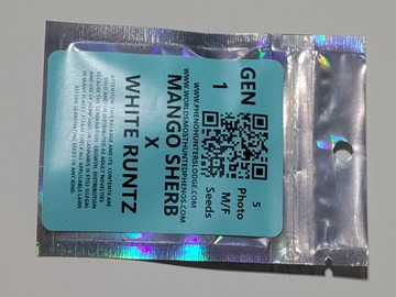 Sell: Mango Sherb X White Runtz (5-pack REGS)