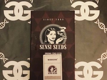 Sell: MEXICAN SATIVA SENSI SEEDS OLD STOCK