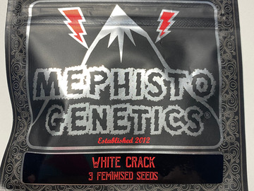 Sell: Mephisto - White Crack