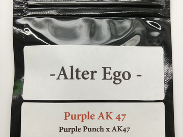Vente: Purple AK 47 - Purple Punch x AK-47