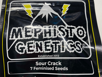 Sell: Mephisto - Sour Crack