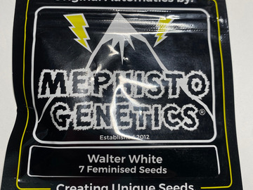 Sell: Mephisto - Walter White
