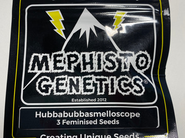Sell: Mephisto - Hubbabubbasmelloscope