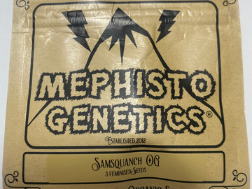 Sell: Mephisto - Samsquanch OG