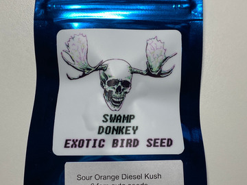 Sell: Sour Orange Diesel Kush SODK