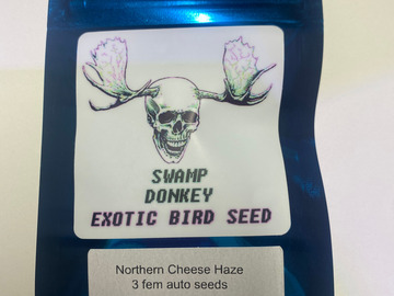 Sell: Northern Cheese Haze