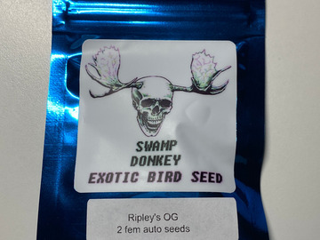 Sell: Ripley's OG