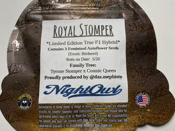 Sell: Night Owl - Royal Stomper