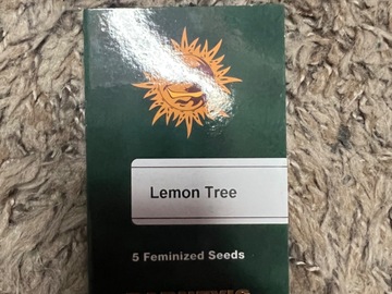Sell: Lemon tree