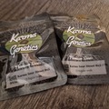 Auction: 2 x Karma Genetic Sour Diesel Bx2 AUCTION! FREE SHIPPING
