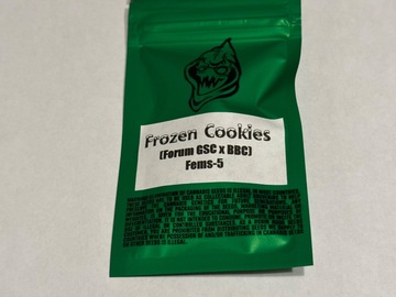Sell: Robinhood Seeds / SQ1 Genetics - Frozen Cookies (Forum GSC x BBC)
