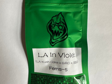 Sell: Robinhood Seeds - LA in Violet (LA Kush Cake x GRC/BBC)