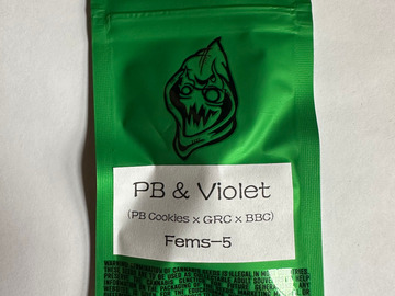 Sell: Robinhood Seeds - PB & Violet (PB Cookies x GRC/BBC)