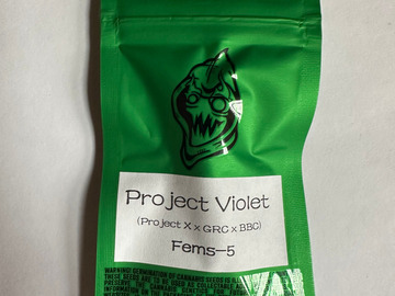 Sell: Robinhood Seeds - Project Violet (Project X x GRC/BBC)