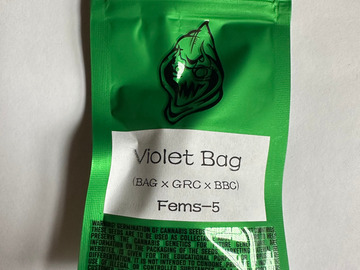 Sell: Robinhood Seeds - Violet BAG (BAG x GRC/BBC)