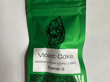 Sell: Robinhood Seeds - Violet Cake (Wedding Cake x GRC/BBC)