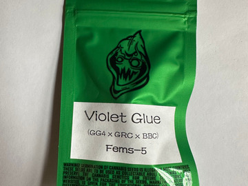 Sell: Robinhood Seeds - Violet Glue (GG4 x GRC/BBC)
