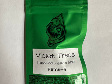 Sell: Robinhood Seeds - Violet Trees (Tahoe OG x GRC/BBC)
