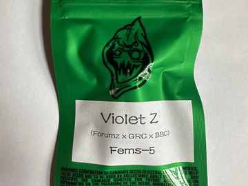 Sell: Robinhood Seeds - Violet Z (Forumz x GRC/BBC)