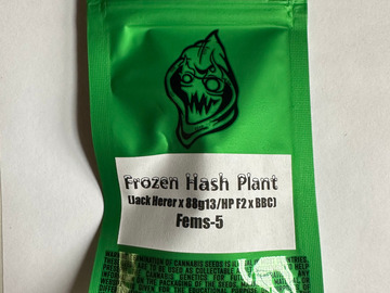Sell: Robinhood Seeds - Frozen Hashplant (88G13HP/Jack Herer x BBC)