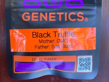 Sell: Black Truffle from 808