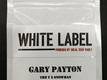 Venta: Gary Payton – The Y x Snowman (Feminized)