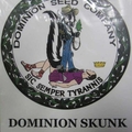 Sell: Dominion Skunk