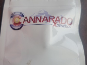 Sell: Canarado back to cookies