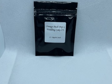 Sell: Orange Push Pop x Wedding Cake F3-Seed Junky Genetics